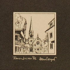 Tennenbronn/Schwarzwald 82/VI